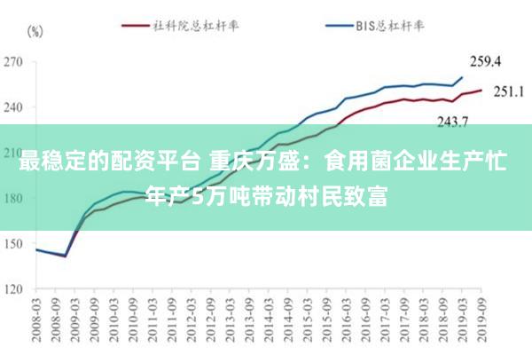 最稳定的配资平台 重庆万盛：食用菌企业生产忙 年产5万吨带动村民致富