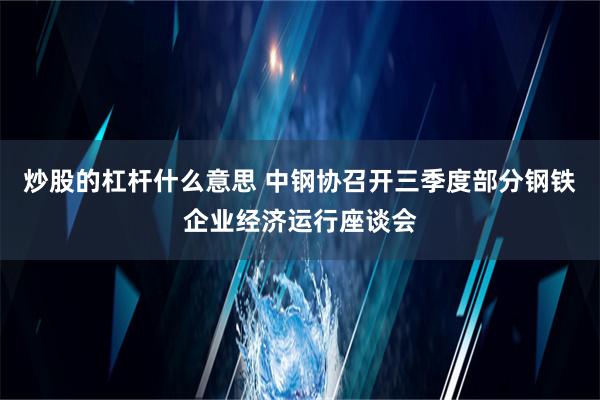 炒股的杠杆什么意思 中钢协召开三季度部分钢铁企业经济运行座谈会