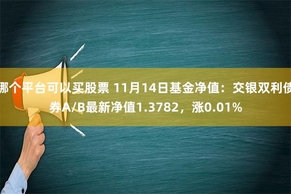 哪个平台可以买股票 11月14日基金净值：交银双利债券A/B最新净值1.3782，涨0.01%