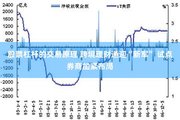 股票杠杆的交易原理 跨境理财通迎“新军” 试点券商加紧布局