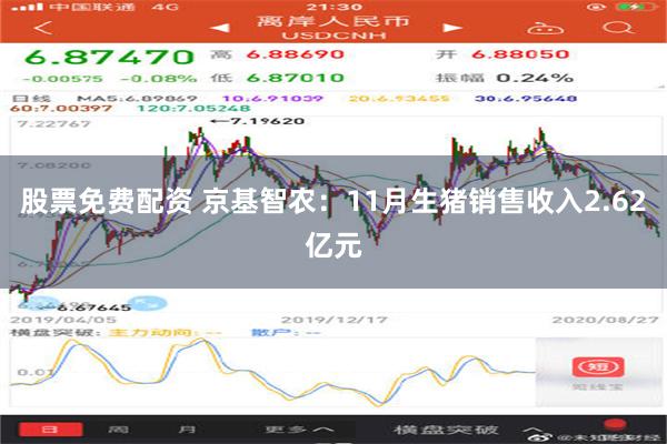 股票免费配资 京基智农：11月生猪销售收入2.62亿元